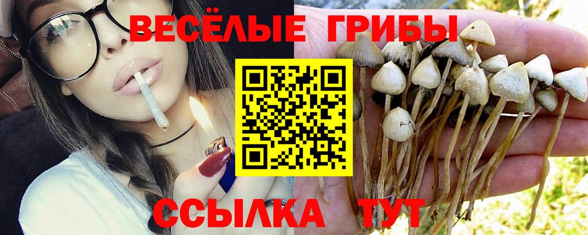 Галлюциногенные грибы Psilocybe Бахчисарай